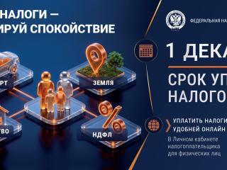 1 Декабря - Срок уплаты налогов